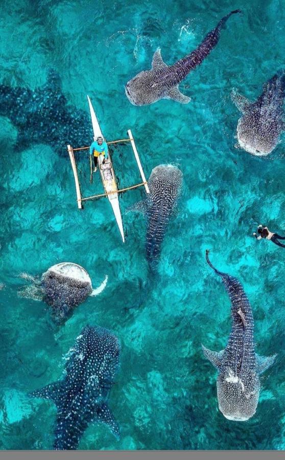 Condotel Dc Marina Spatial Felinvest Dumaguete City Zewnętrze zdjęcie